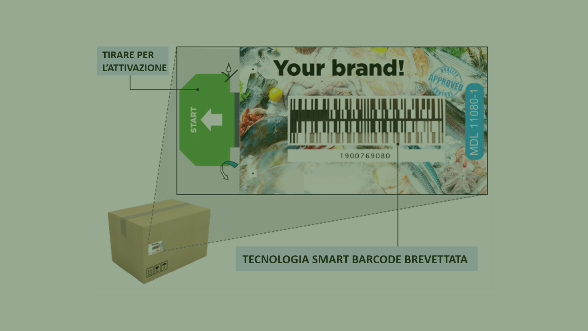 Smart Label con barcode dinamico: l’evoluzione del packaging parlante