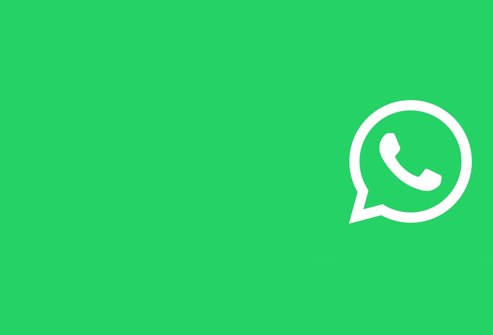 WhatsApp Pay: funzionamento, privacy, sicurezza e costi
